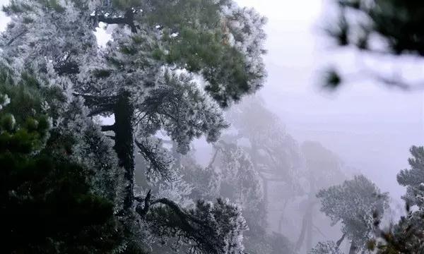 街头打手2