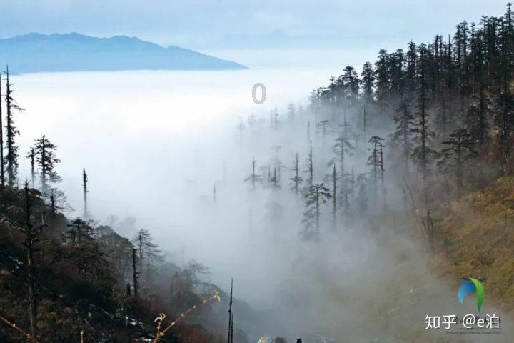 逗小猴开心之四个世界4