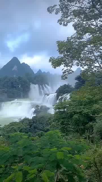 唤醒沉睡的大头