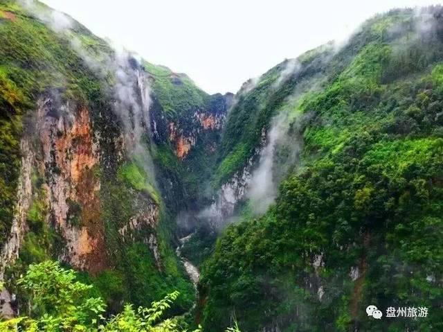 莫雷岛逃脱